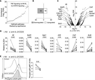 IL-1β promotes IL-9-producing Th cell differentiation in IL-2-limiting conditions through the inhibition of BCL6